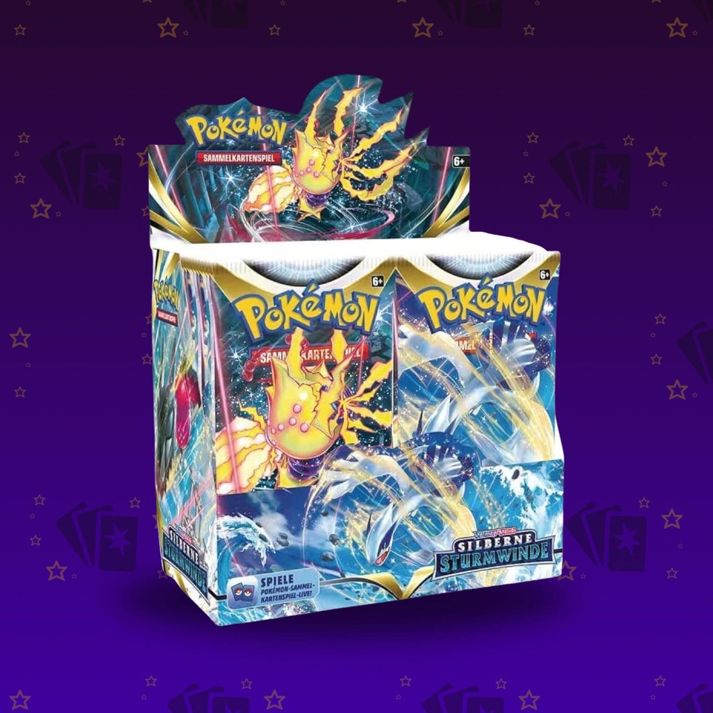 Schwert Schild Silberne Sturmwinde Display DE